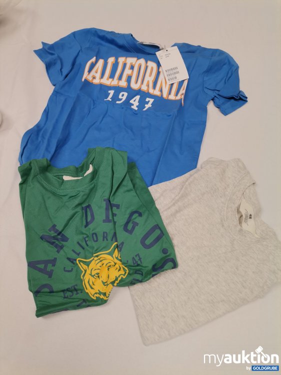 Artikel Nr. 842529 Artikel Nr. 842529: H&M Shirts