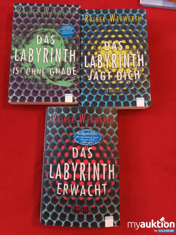 Artikel Nr. 940531: 3 x Thriller, Das Labyrinth 