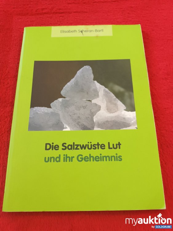 Artikel Nr. 937533 Artikel Nr. 937533: Die Salzwüste Lut und ihr Geheimnis