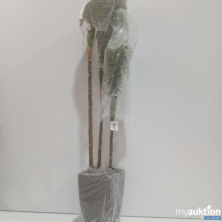 Artikel Nr. 887534 Artikel Nr. 887534: Fächerpalme 105cm