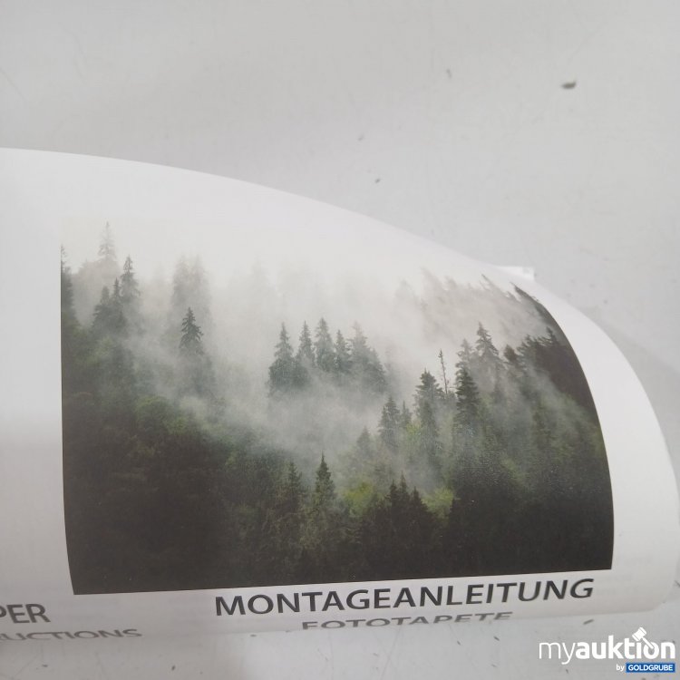 Artikel Nr. 525535: Fototapete 350x250cm 