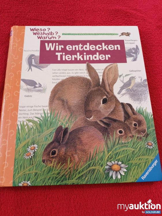 Artikel Nr. 923537: Großes Wieso, Weshalb, Warum Buch