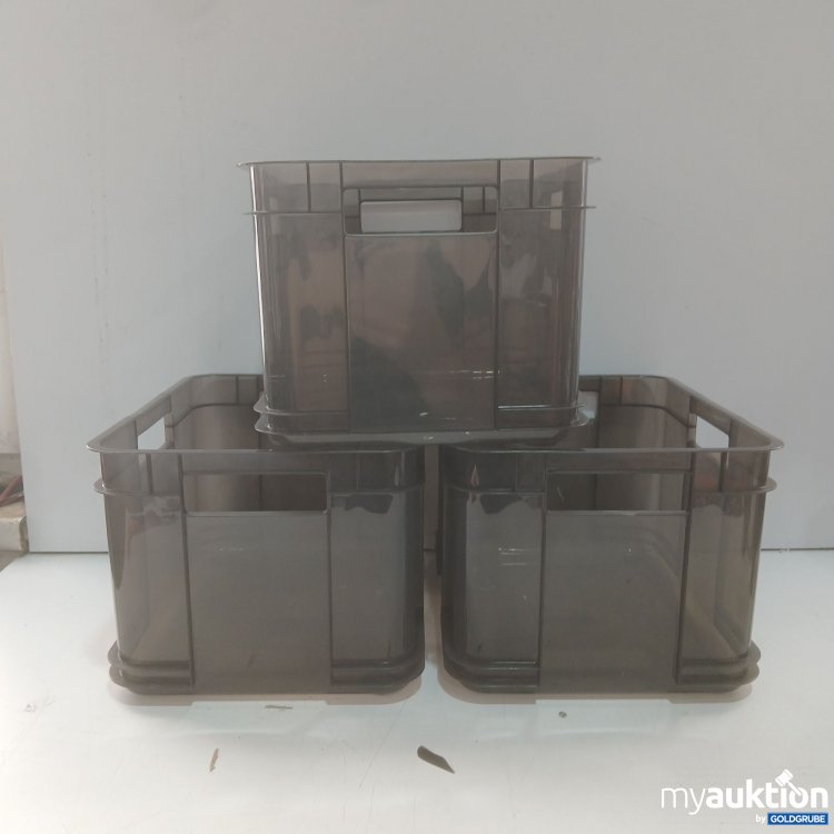 Artikel Nr. 447538: Keeeper euro Box m Bruno  15461 827 000 00 3stk 35x27x22cm 