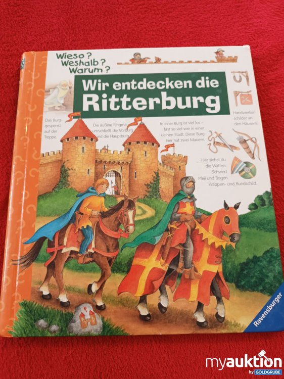 Artikel Nr. 923538 Artikel Nr. 923538: Großes Wieso, Weshalb, Warum Buch
