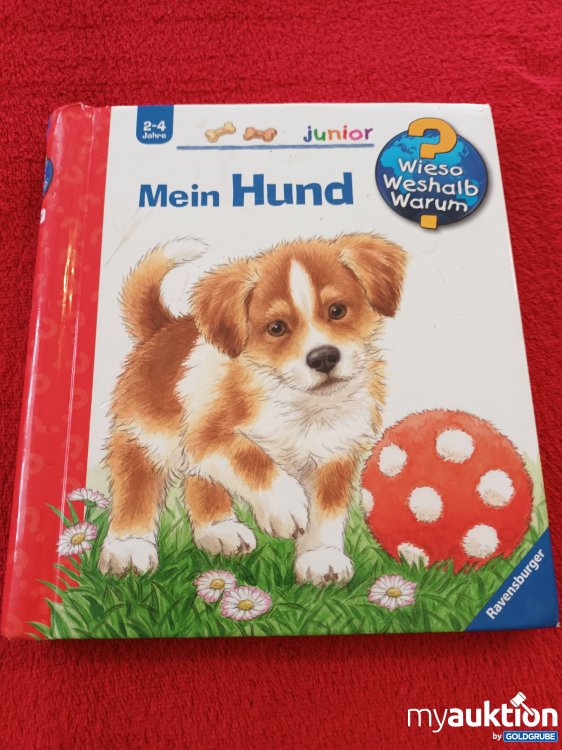 Artikel Nr. 923539 Artikel Nr. 923539: Kleines Wieso, Weshalb, Warum Buch