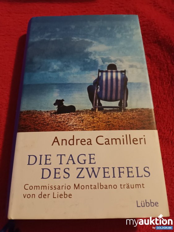 Artikel Nr. 907540: Buch, Die Tage des Zweifels