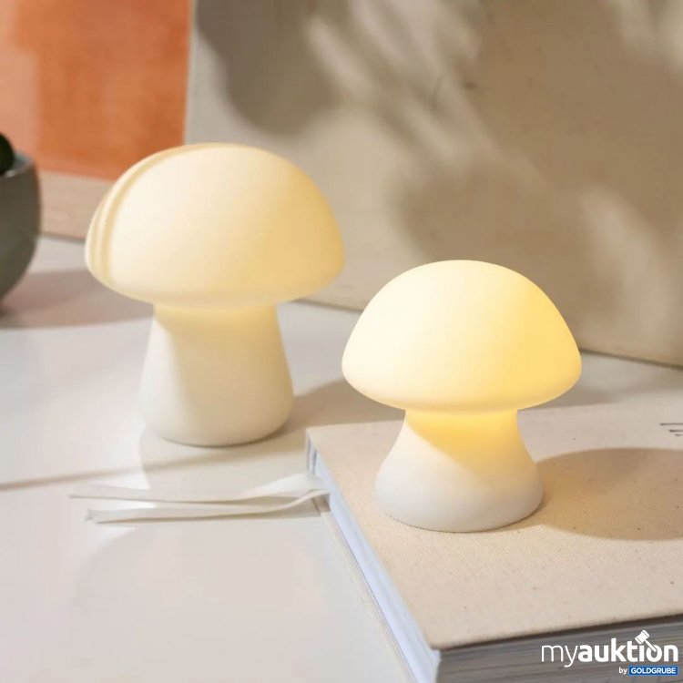 Artikel Nr. 376543: Pilz-Leuchten Small