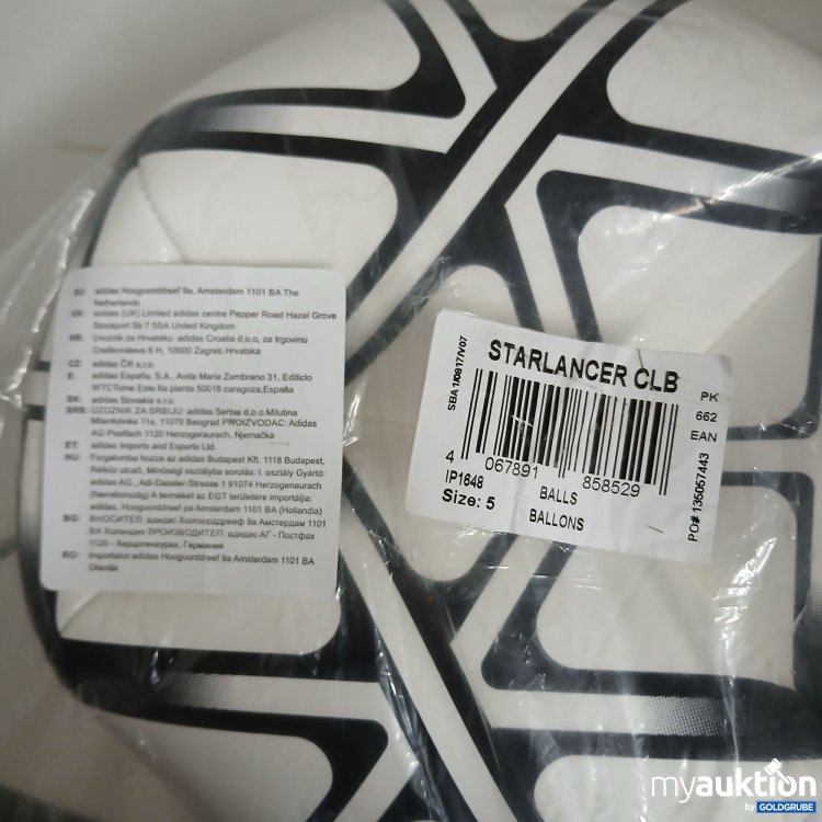 Artikel Nr. 826548: Ball mit Luftpumpe 