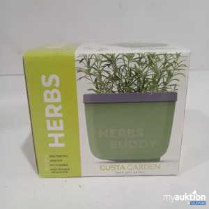 Auktion Gusta Garden Herbs Kräutertopf 