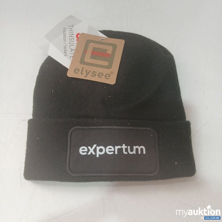 Artikel Nr. 939550: expertum Mütze UNI