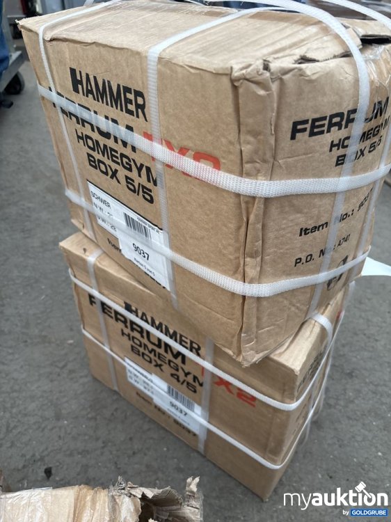 Artikel Nr. 921554: HAMMER FERRUM HOMEGYM TX2