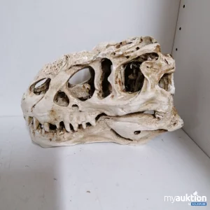 Auktion Dinosaurier Schädel Skelett 