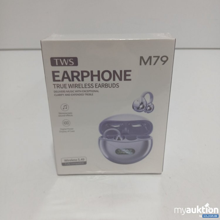 Artikel Nr. 522559 Artikel Nr. 522559: TWS Earphone M79