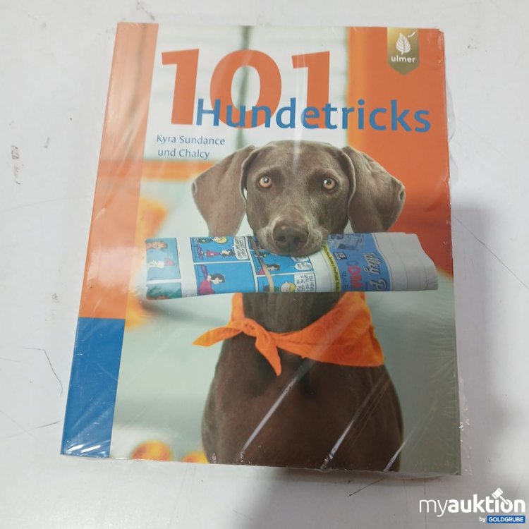Artikel Nr. 953559 Artikel Nr. 953559: Ulmer 101 Hundetricks Kyra Sundance und Chalcy