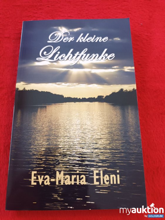 Artikel Nr. 937560 Artikel Nr. 937560: Der kleine Lichtfunke