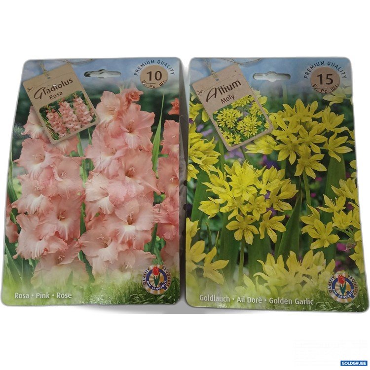 Artikel Nr. 920562: Diverse Blumenzwiebel 2er Set