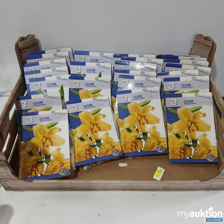 Artikel Nr. 920563: Exclusive diverse Blumenzwiebel 25er Set