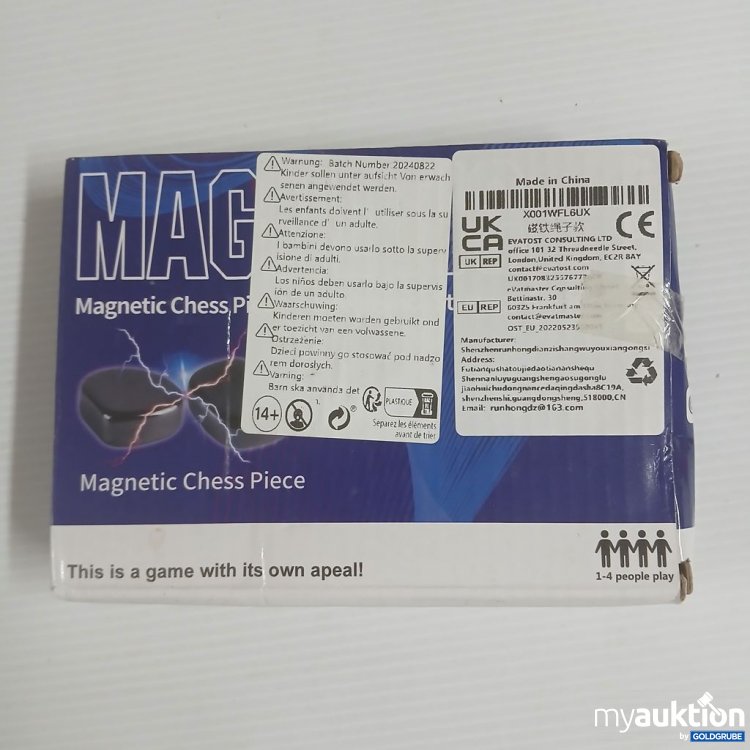 Artikel Nr. 922563: Magnetic Chess Piece