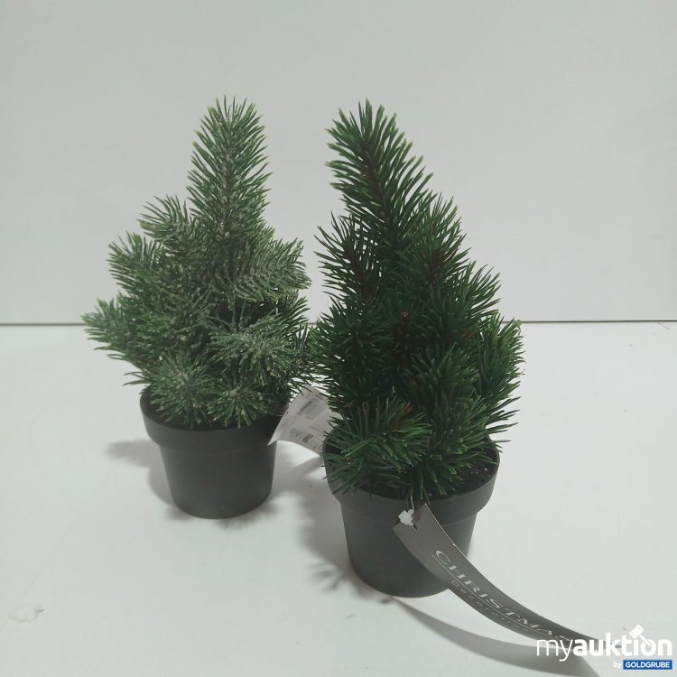 Artikel Nr. 912564 Artikel Nr. 912564: Christmas Decoration 2 Stück ca.22cm