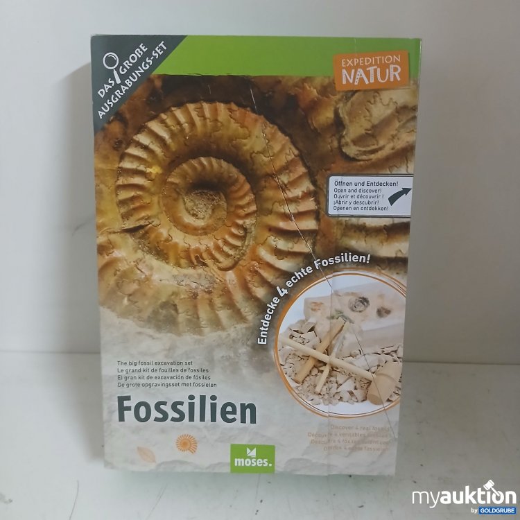 Artikel Nr. 399565: Moses Fossilien 