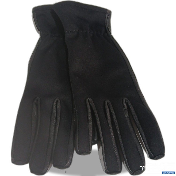 Artikel Nr. 524569: Eska Handschuhe 