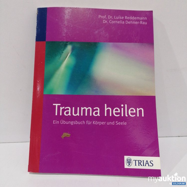 Artikel Nr. 851570: Trauma heilen Buch