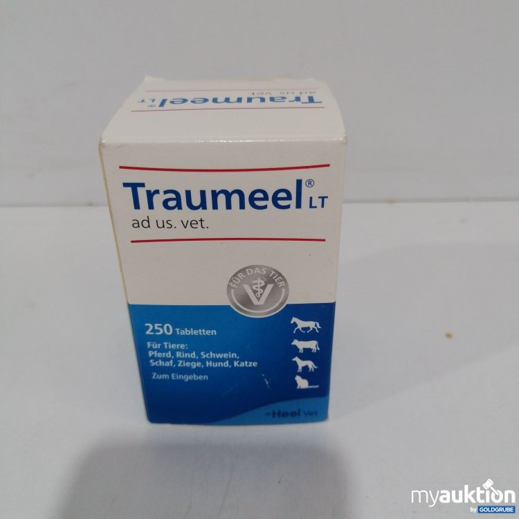 Artikel Nr. 847572: Heel vet Traumeel 250 Tabletten 