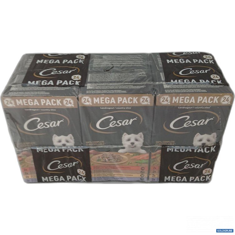 Artikel Nr. 958577: Cesar Mega Pack Land Ragout24×150G  