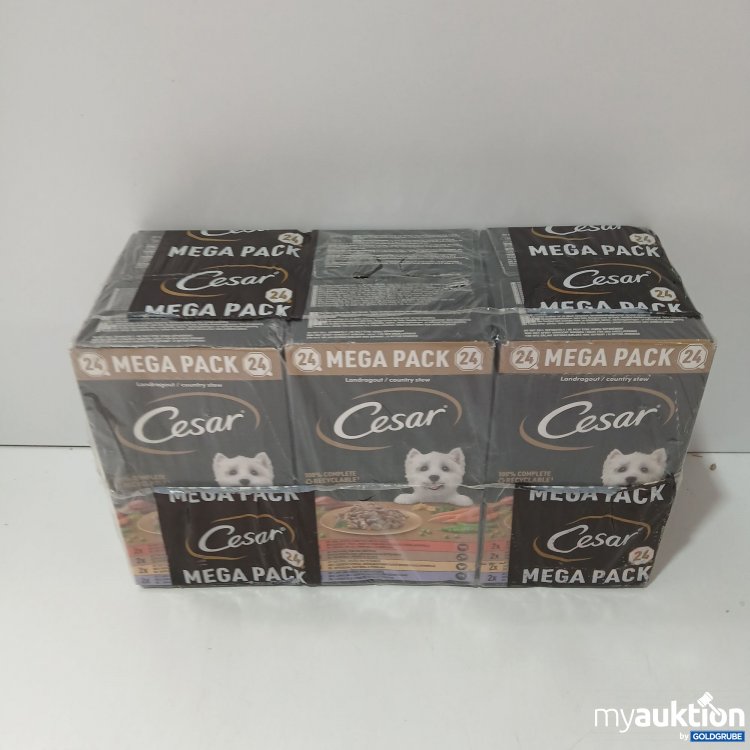 Artikel Nr. 958577: Cesar Mega Pack Land Ragout24×150G  