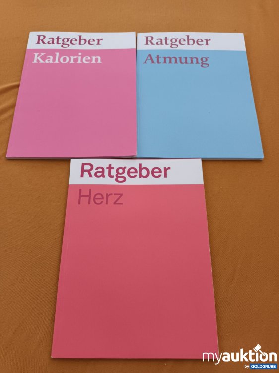 Artikel Nr. 398579 Artikel Nr. 398579: 3 Ratgeber