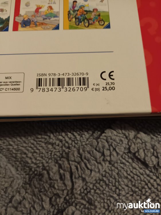 Artikel Nr. 907580: XXL Riesenbuch, Wieso Weshalb Warum 