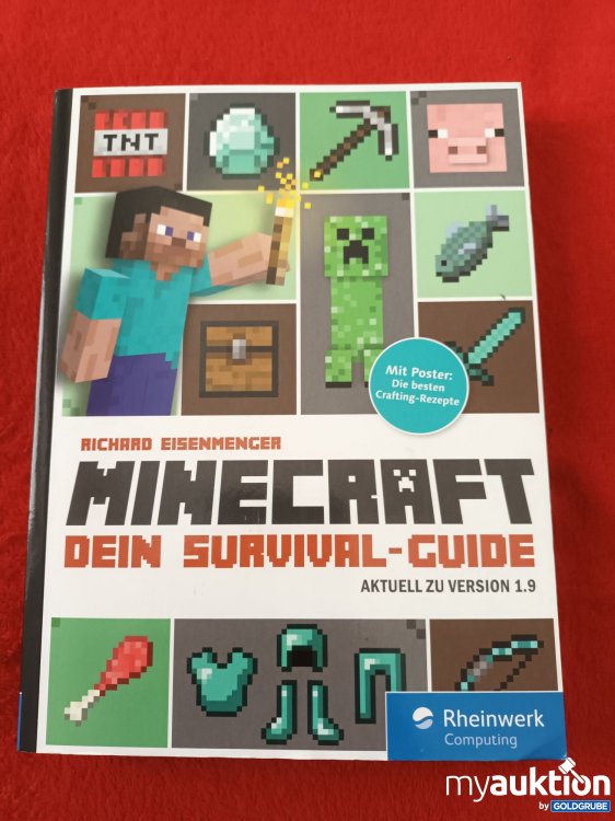 Artikel Nr. 923580: MINECRAFT, Dein Survival Guide