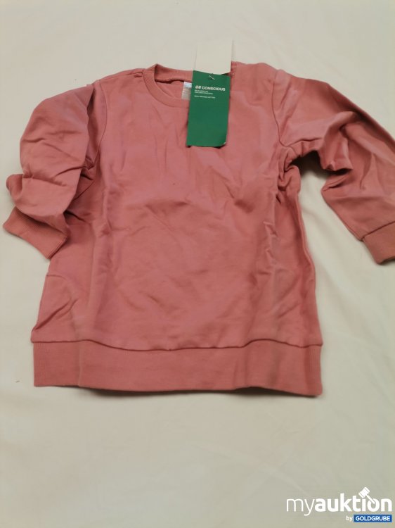 Artikel Nr. 880583: H&M Sweater 