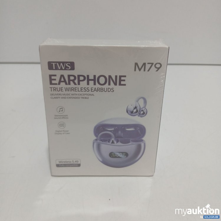 Artikel Nr. 522584 Artikel Nr. 522584: TWS Earphone M79