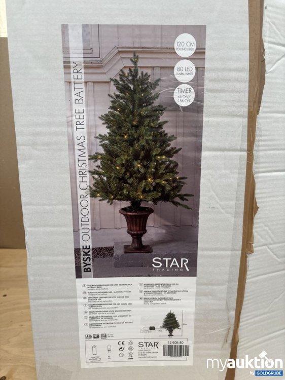 Artikel Nr. 921585: Star Trading Dekorationsbeleuchtung Innen- und Außenbereich 120cm