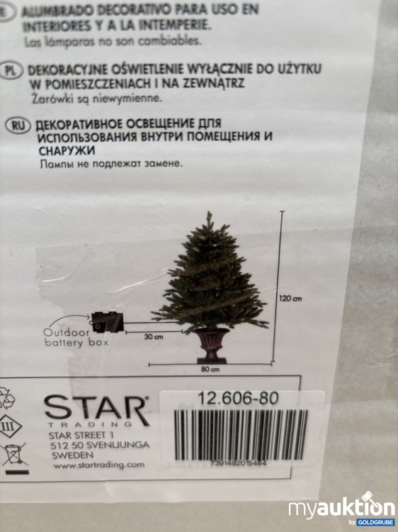 Artikel Nr. 921585: Star Trading Dekorationsbeleuchtung Innen- und Außenbereich 120cm