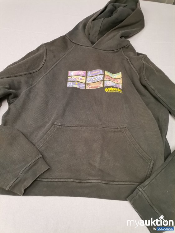 Artikel Nr. 707586 Artikel Nr. 707586: Systemic Hoodie ohne Etikett