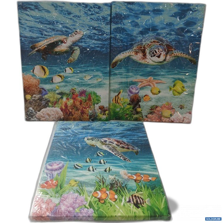 Artikel Nr. 997587 Artikel Nr. 997587: Leinwandbild 30x40cm