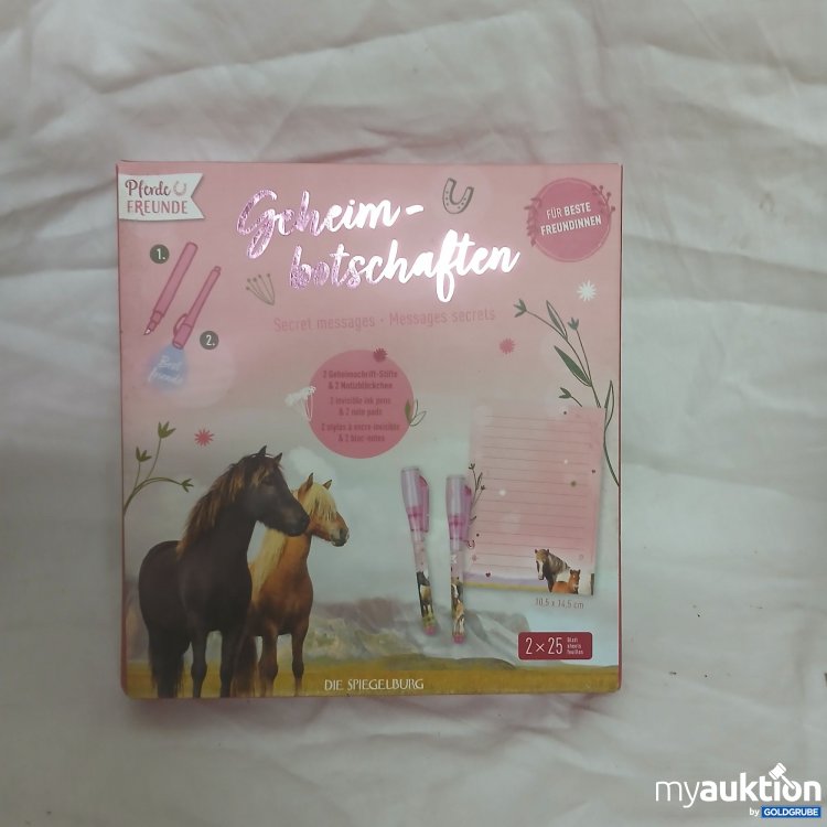 Artikel Nr. 361588: Geheim-botschaften Tagebuch
