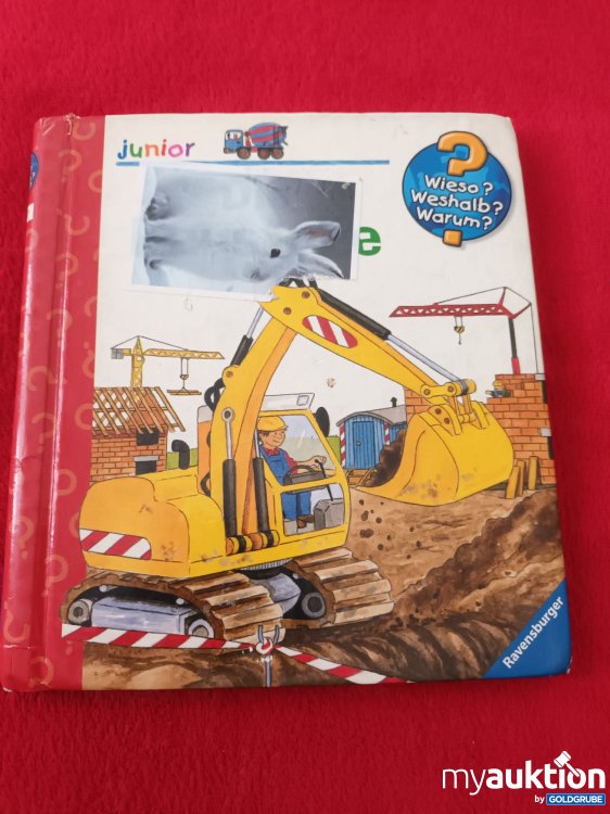 Artikel Nr. 923588: Kleines Wieso, Weshalb, Warum Buch