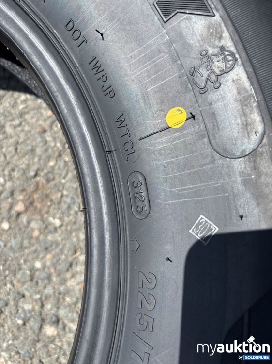 Artikel Nr. 444591: Sunny AllSeason VA1 225/75R16C 10/E