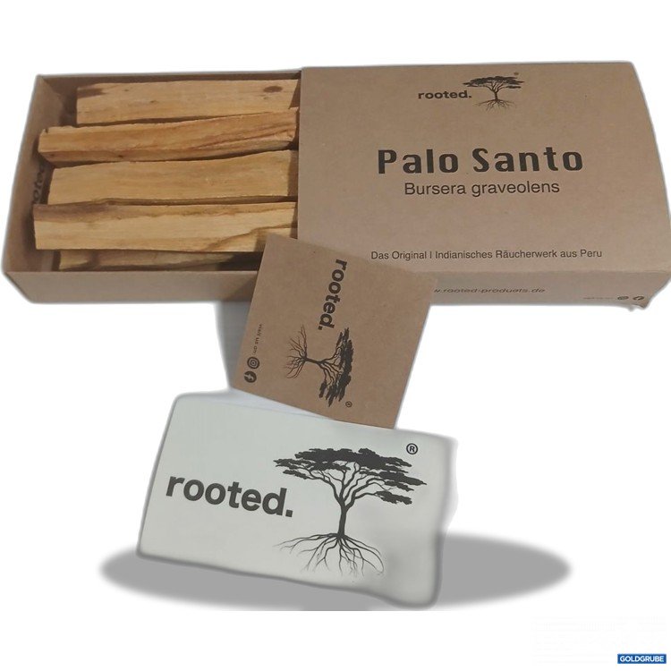 Artikel Nr. 922593: rooted. Palo Santo Bursera graveolens