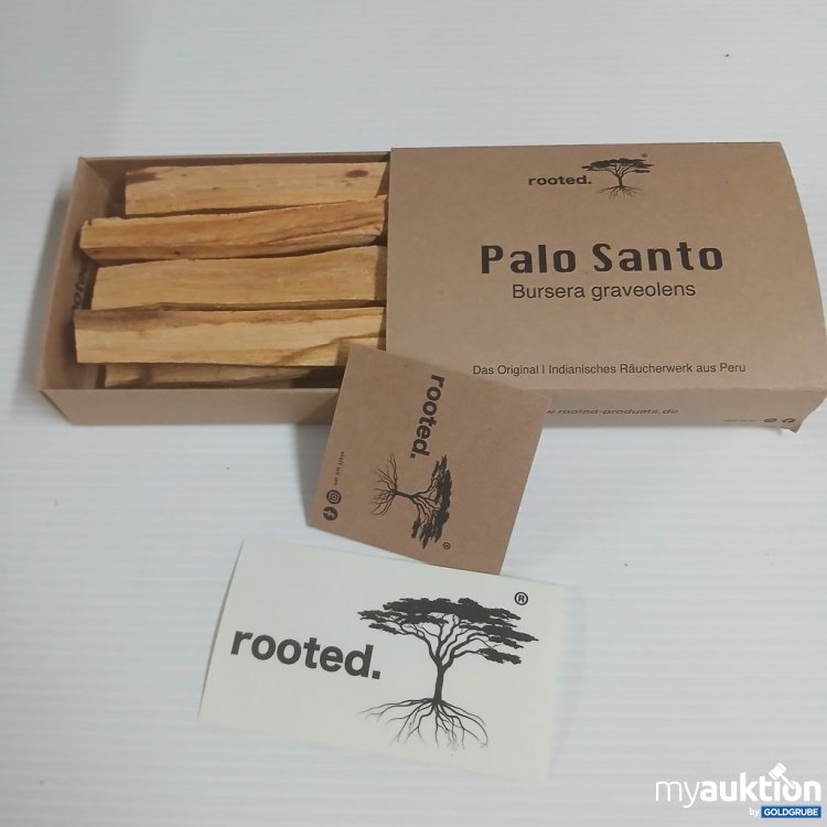 Artikel Nr. 922593: rooted. Palo Santo Bursera graveolens