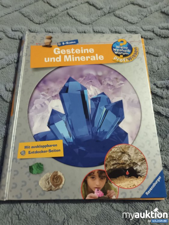 Artikel Nr. 907609: Großes Wieso, Weshalb, Warum Buch