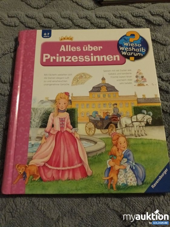Artikel Nr. 907610: Großes Wieso, Weshalb, Warum Buch