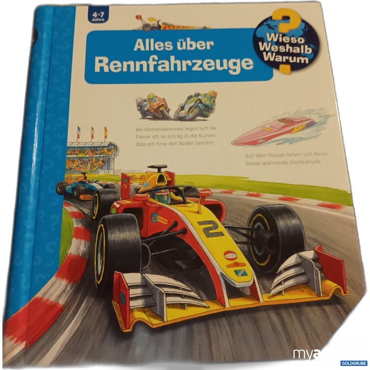 Artikel Nr. 907611: Großes Wieso, Weshalb, Warum Buch