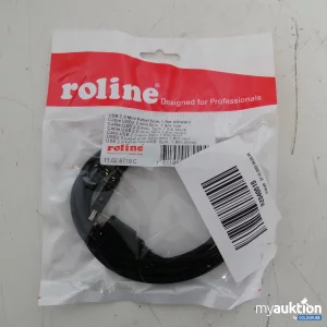 Auktion Roline USB 2.0 Kabel