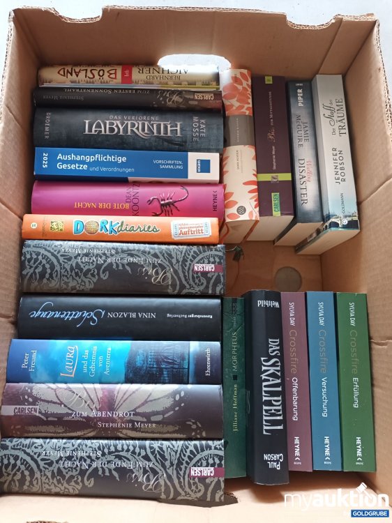Artikel Nr. 901613 Artikel Nr. 901613: Karton mit 22 Büchern (siehe Fotos)