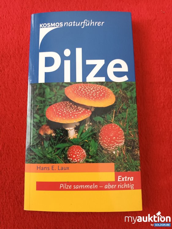 Artikel Nr. 923613: Pilze 