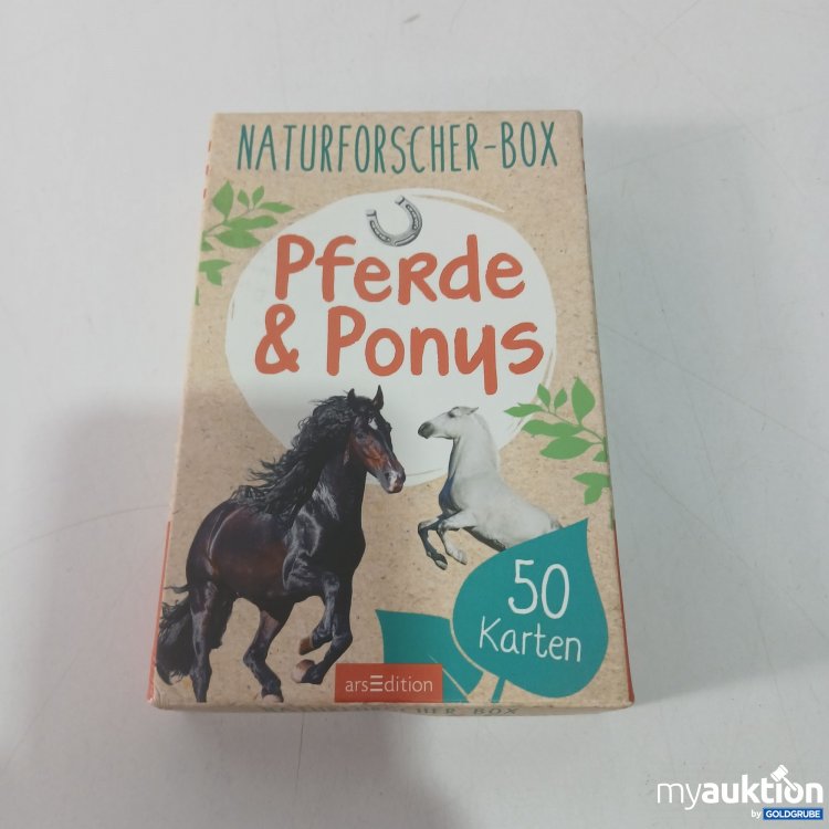 Artikel Nr. 812617: ArsEdition Pferde&Ponys 